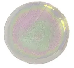 Тарелка декоративная стекло d32см EJ25406